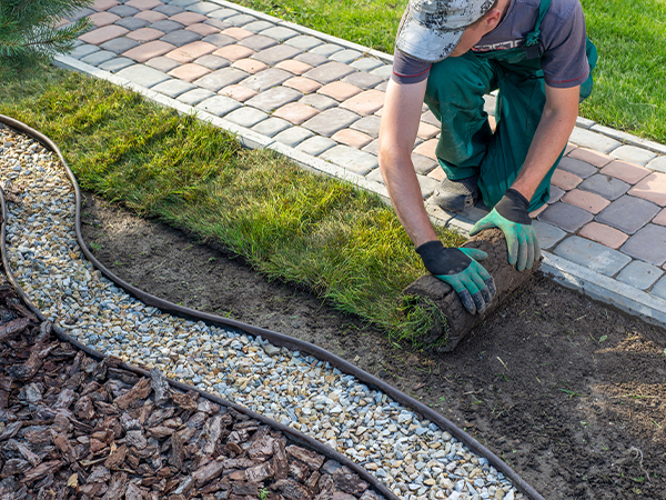 Sod installation along decorative pathway for enhanced curb appeal by Easy Green Landscaping.