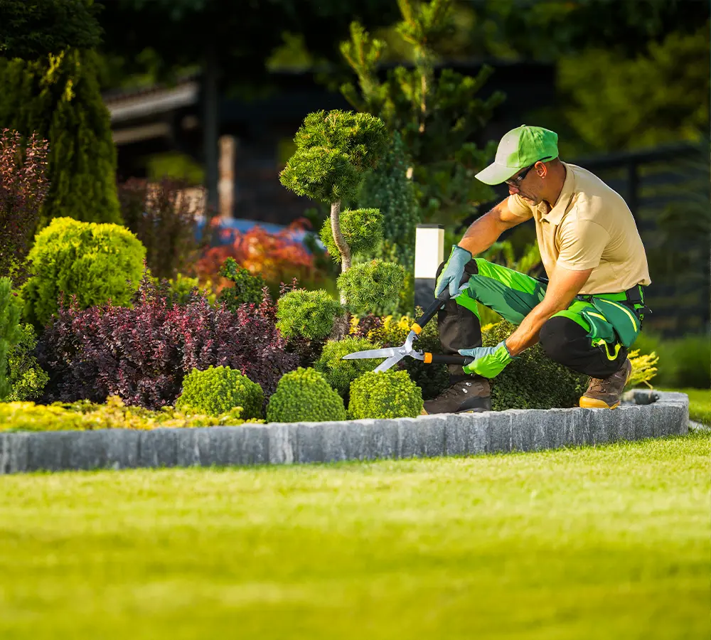 Landscape professional trimming bushes for a well-maintained garden