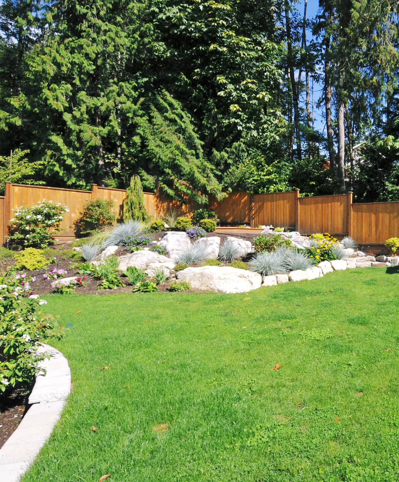 A modern backyard with lush greenery, a wooden fence, and a variety of plants creating a natural retreat.