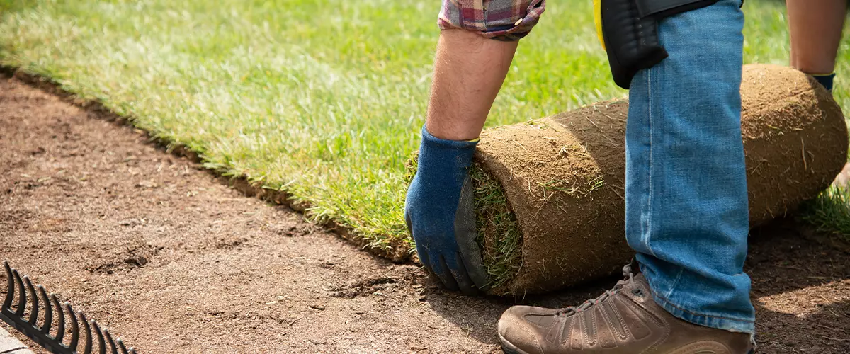 Installing turf rolls in the garden