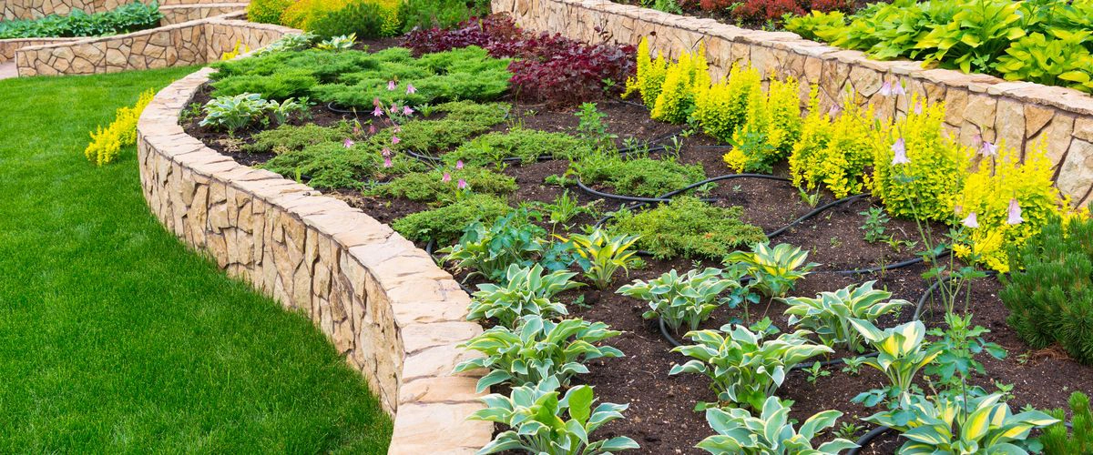 Landscape Designer Company in Parker, CO